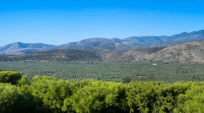 Ξενοδοχείο Chrissa & Δελφοί